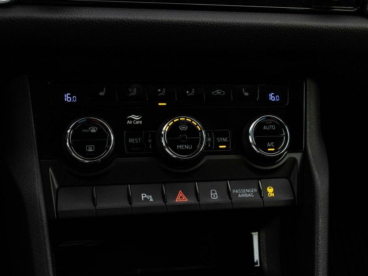 Skoda Kodiaq, 2020 Фото №11